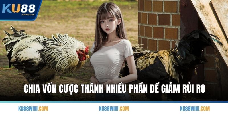 Chia vốn cược thành nhiều phần để giảm rủi ro