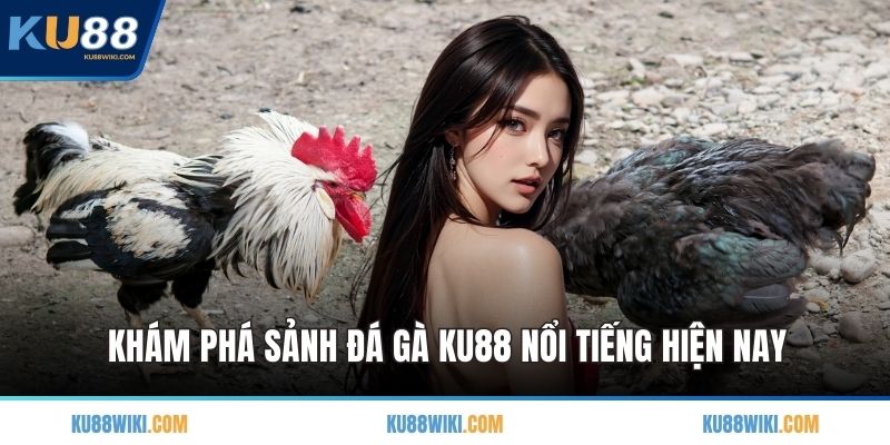 Khám phá sảnh đá gà KU88 nổi tiếng hiện nay